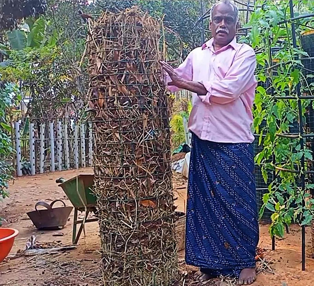 Indio enseña a cultivar papas en torres con hojas secas