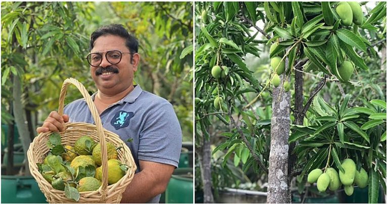 Indio tiene huerta de 135 árboles frutales en bidones de plástico » El  Horticultor