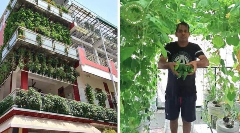 Periodista convierte su casa en una granja hidropónica urbana