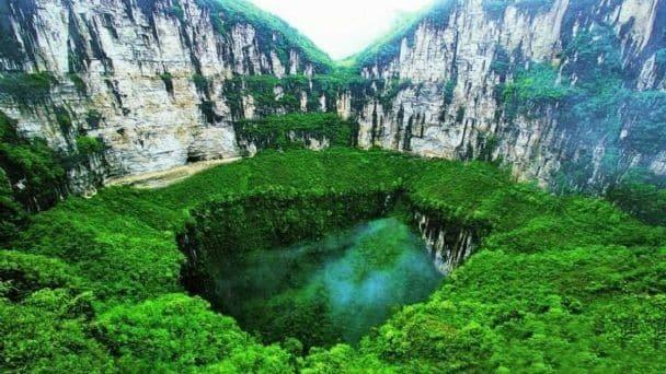 Científicos han descubierto en china un enorme bosque a 192 m de profundidad
