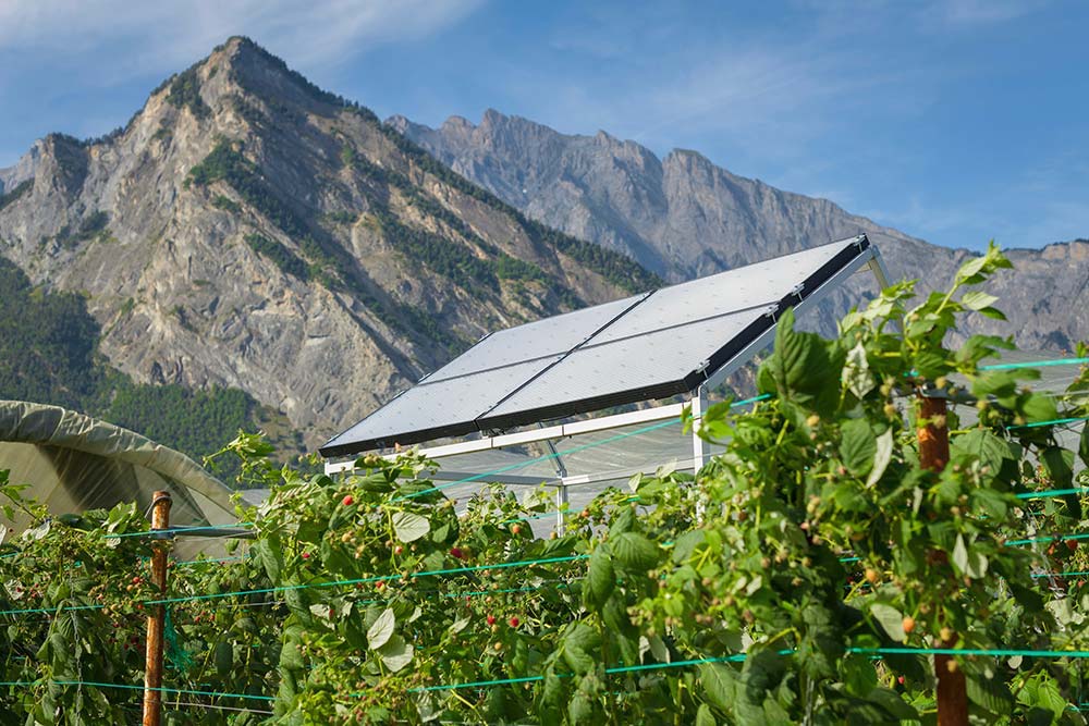 Módulos solares translúcidos, la nueva tendencia agrícola en Europa
