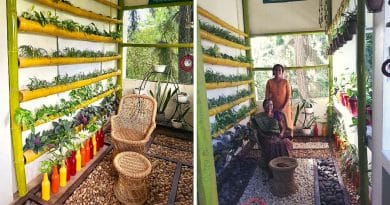 , Estudiante de doctorado transforma un balcón en la Universidad Kerala en un jardín vertical “curativo”