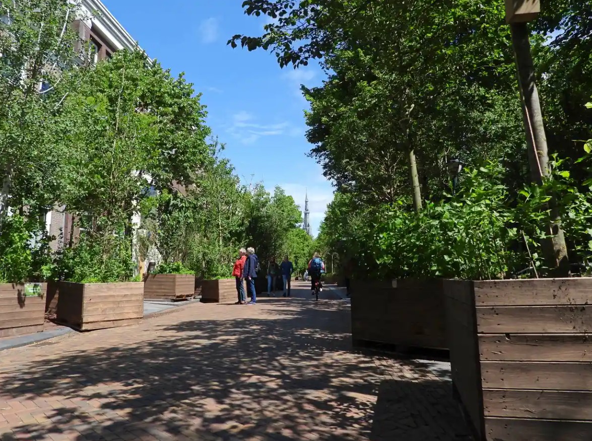 Bosque ambulante con 1.000 árboles invade ciudad holandesa