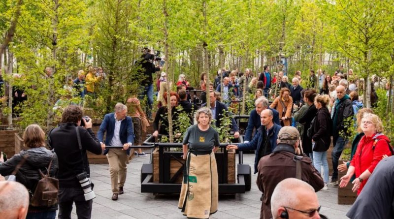 Bosque ambulante con 1.000 árboles invade ciudad holandesa