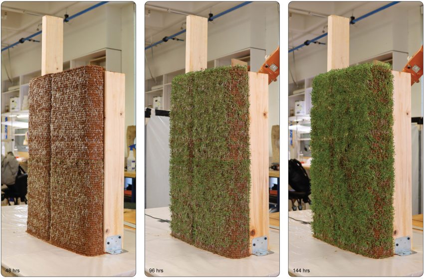 Crean paredes impresas en 3D con tierra y semillas para construcciones llenas de vida vegetal