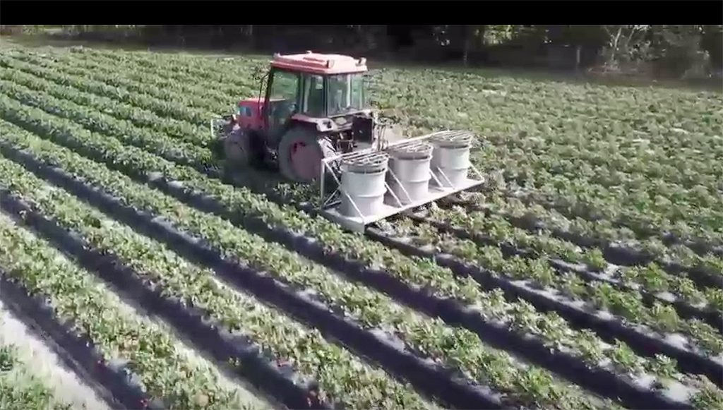 Aspirador de insectos reemplaza pesticidas en campos de fresas