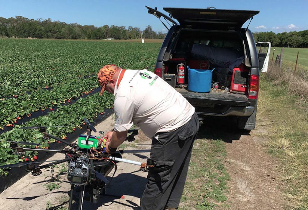 Aspirador de insectos reemplaza pesticidas en campos de fresas