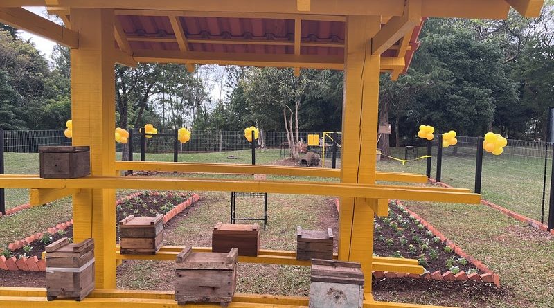 Huerta comunitaria en escuela producirá 900 kg de miel orgánica