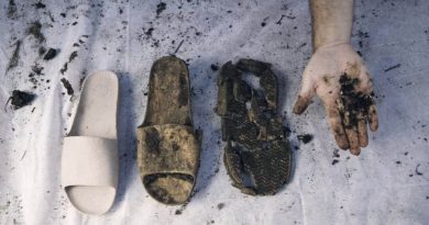 Calzado revolucionario: El primer zapato 100% compostable del mundo