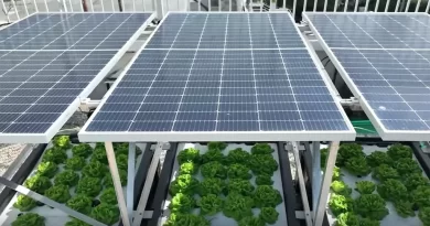 Sistema combina energía solar e hidroponía en cubiertas verdes
