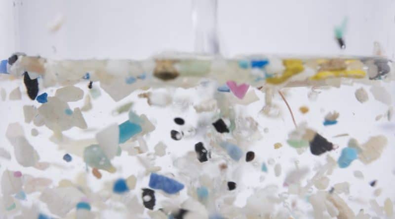 Los científicos han creado esponjas naturales que absorben microplásticos.