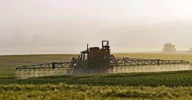 Europa vota para reducir el uso de pesticidas a la mitad