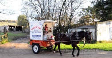 Tradiciones que perduran: "Cholito", el remanente lechero en una localidad de 6000 habitantes.